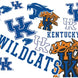Kentucky Wildcats - All Over Plastic Tumbler