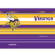 Minnesota Vikings - NFL Hype Stripes Stainless Steel Tumbler