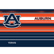 Auburn Tigers - Hype Stripes Stainless Steel Tumbler