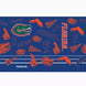 Florida Gators - NCAA Swag Stainless Steel Tumbler With Slider Lid