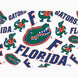 Florida Gators - All Over Plastic Tumbler