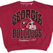 Georgia Bulldogs 
