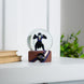NFL Baltimore Ravens - Water Globe