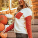 Color Block Round Neck Long Sleeve Sweater