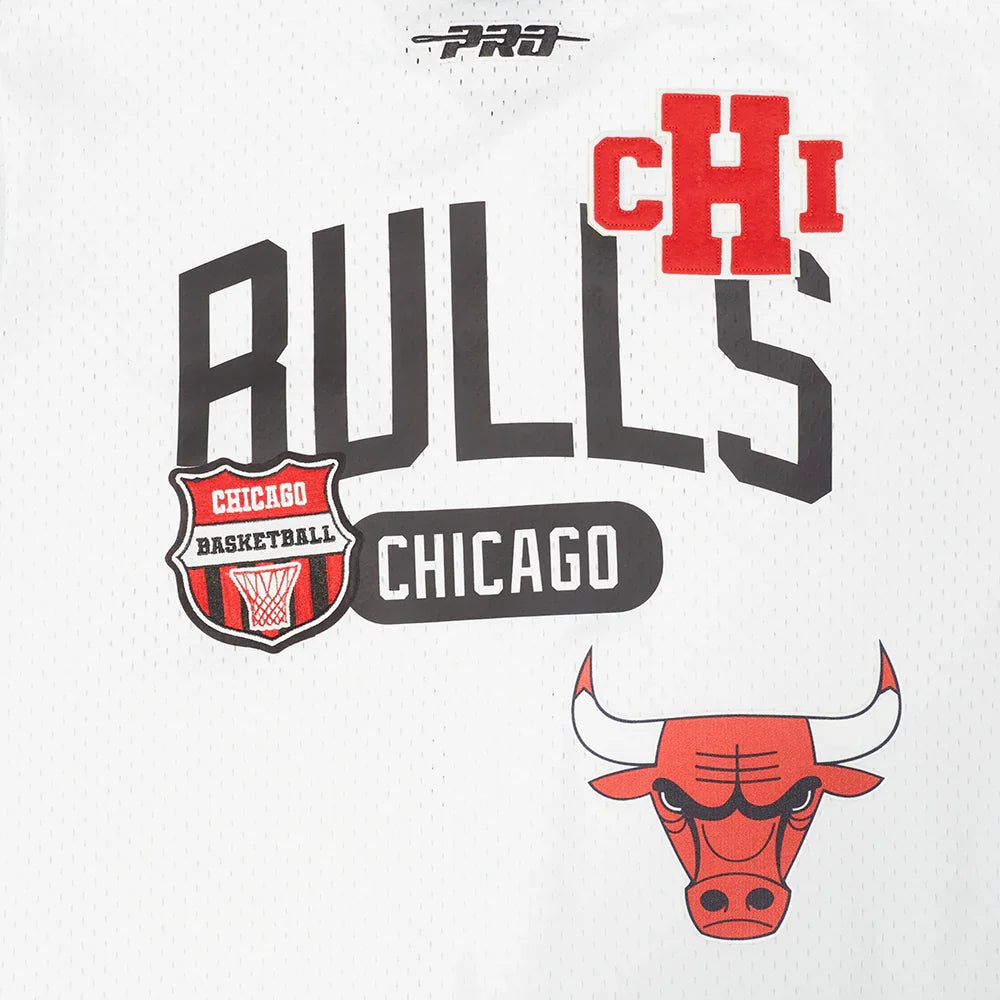 Chicago Bulls - NBA Letterman Men's Mesh Button Down Shirt