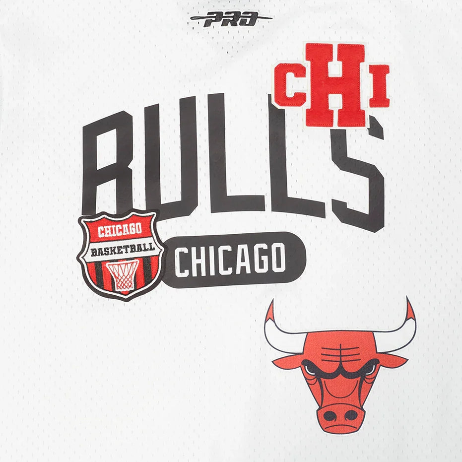 Chicago Bulls - NBA Letterman Men's Mesh Button Down Shirt