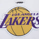 Los Angeles Lakers - NBA Script Tail Men's Mesh Button Down Shirt