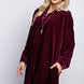 Mini Ruffle Detailing Velvet Dress