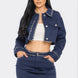 Embroidered cropped shirt set
