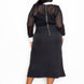 Collared Lace Midi Dress