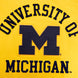 Michigan Wolverines - NCAA University of Michigan Classic Men's Stacked Logo T-Shirt