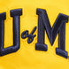 Michigan Wolverines - NCAA University of Michigan Classic Men's Stacked Logo T-Shirt