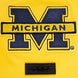 Michigan Wolverines - NCAA University of Michigan Classic Men's Stacked Logo T-Shirt