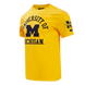 Michigan Wolverines - NCAA University of Michigan Classic Men's Stacked Logo T-Shirt