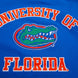 Florida Gator - NCAA University of Florida Classic Men's Stacked Logo T-Shirt