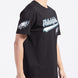 Philadelphia Eagles - NFL Script Tail Men's SJ Adult T-Shirt