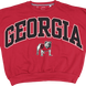 Georgia Bulldogs 