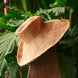 Ulu Raffia Rancher Medium Brim Hat in Natural Beige