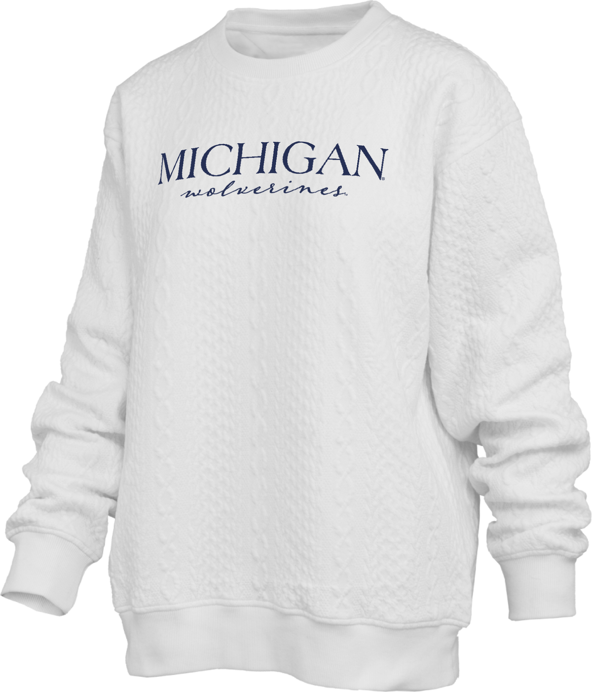 Michigan Wolverines 