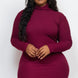 Plus Size Ribbed Long Sleeve Mock Neck Mini Bodycon Dress