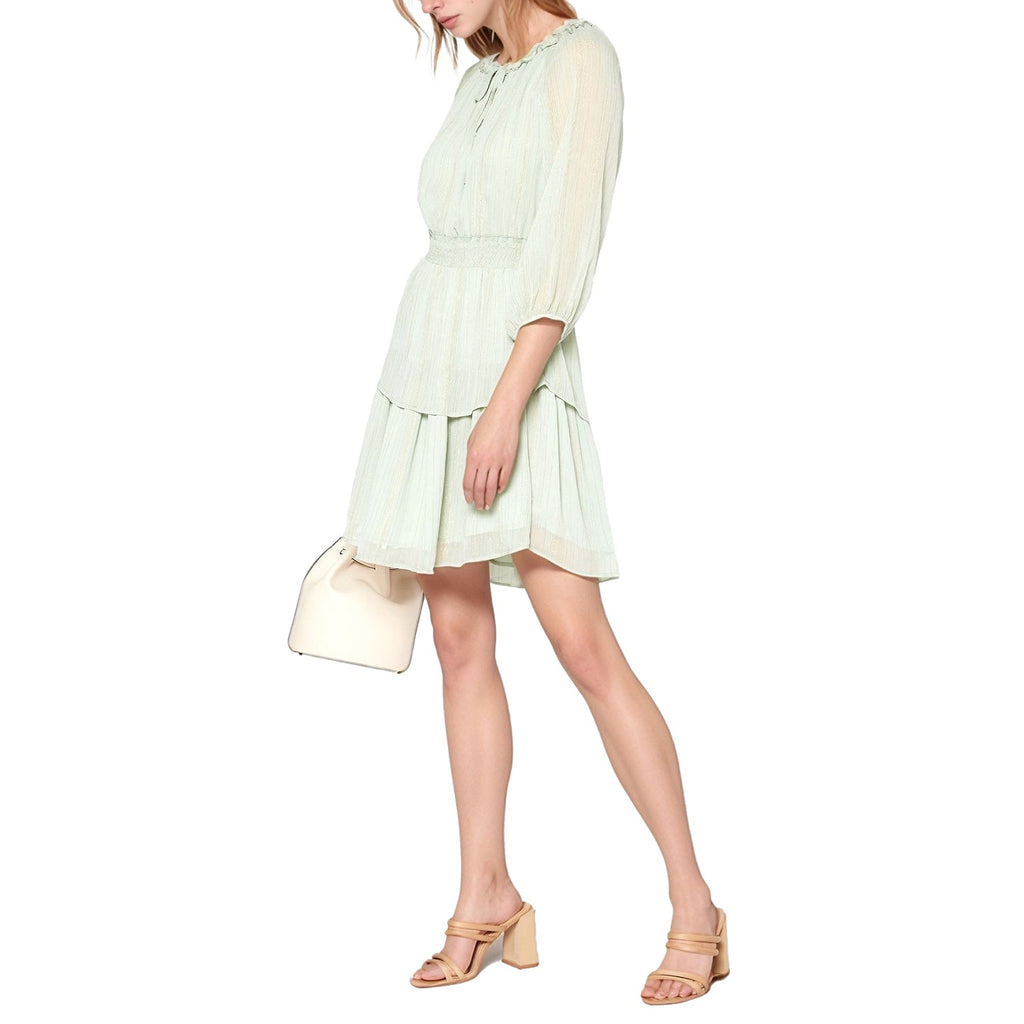 Pleione Long Sleeve Smocked Cinched Waist Dress