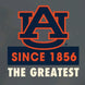 Auburn Tigers - Garment Colors Smoke Grey T-Shirt