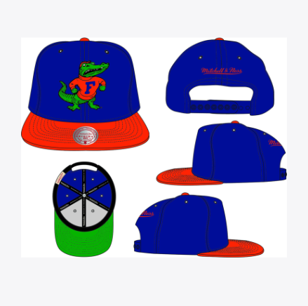 Florida Gators - NCAA 2 Tones Snapback Hat