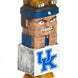 Kentucky Wildcats - NFL Totem Pole