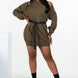 Double Zipper Long Sleeve Hooded Mini Dress