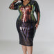 Long Sleeve Stretch Dress
