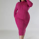 Turtle Neck Stretch Dress