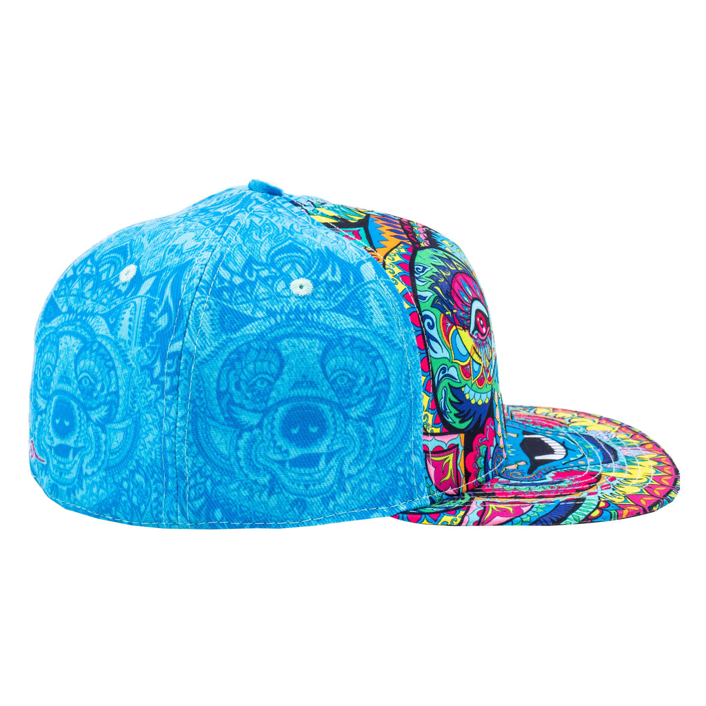 Amanda Vela Bear V2 Blue Fitted Hat by Grassroots California