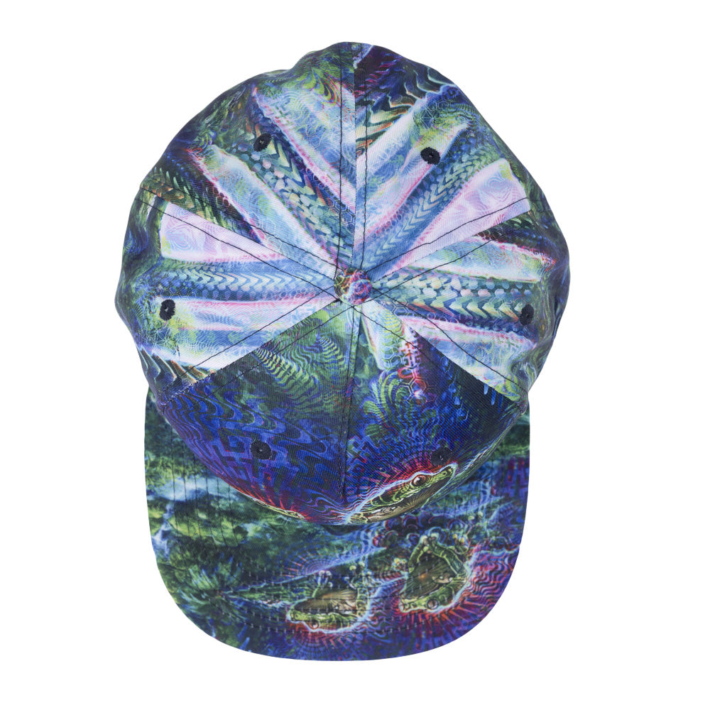 Simon Haiduk Fable Print Fitted Hat by Grassroots California