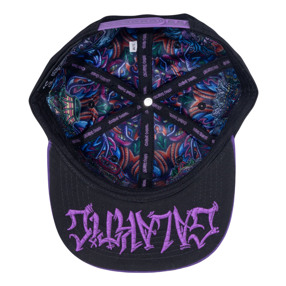 Chris Dyer Galaktic Gang Purple Snapback Hat by Grassroots California