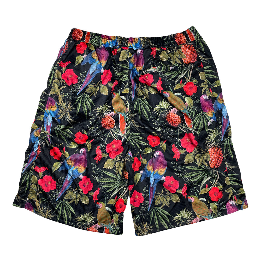 Greg Lutzka Ganja Bahama Taffy Mesh Shorts by Grassroots California