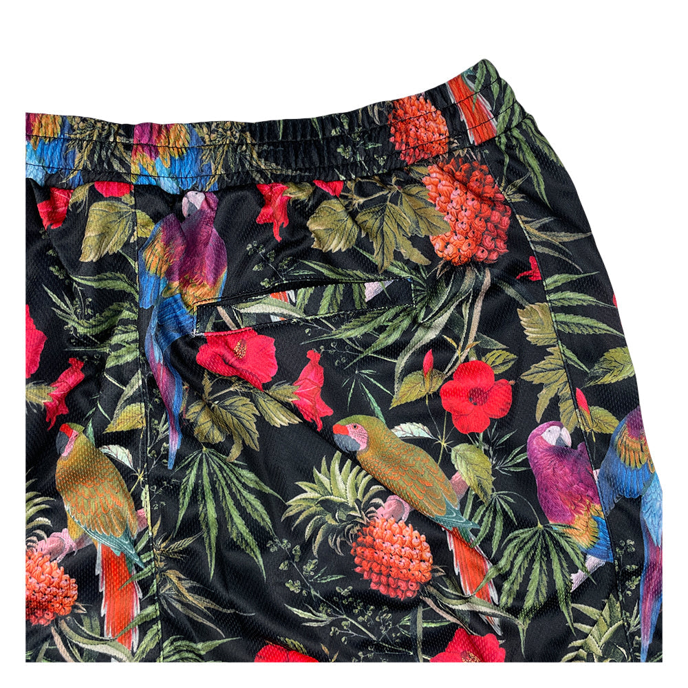Greg Lutzka Ganja Bahama Taffy Mesh Shorts by Grassroots California