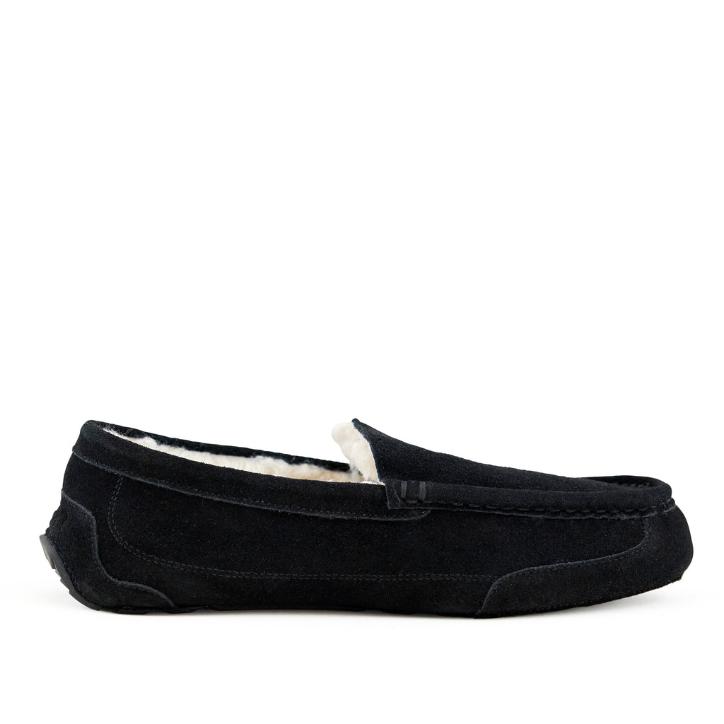 Men's Slippers Toasty Black by Nest Shoes